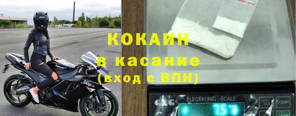 стаф Корсаков