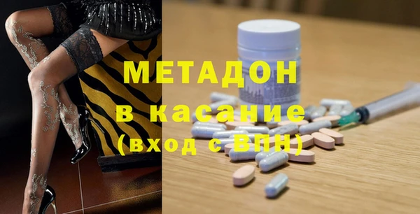 стаф Корсаков