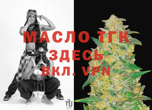 стаф Корсаков