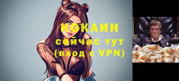 гидра Костерёво