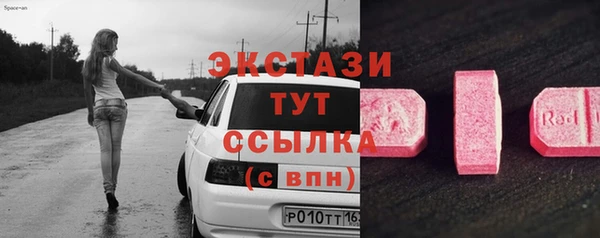 гидра Костерёво