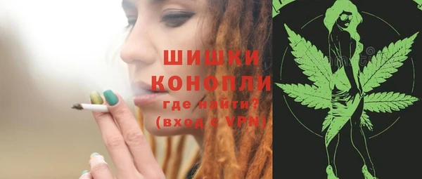 гидра Костерёво