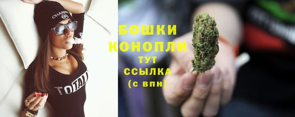 стаф Корсаков