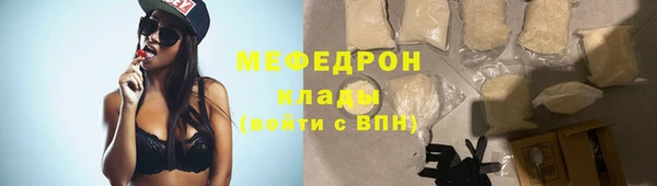 стаф Корсаков