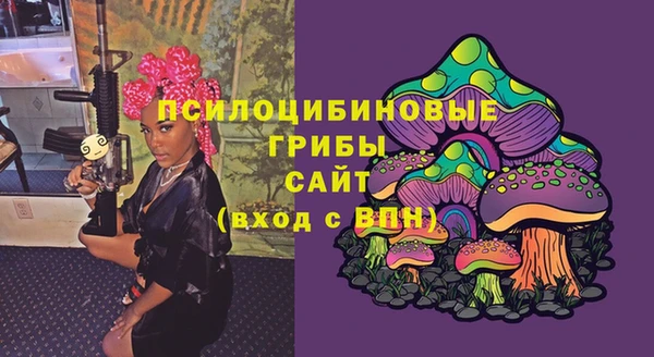 не бодяженный Коряжма