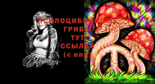стаф Корсаков