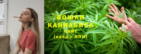 стаф Корсаков