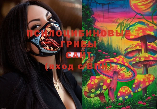 стаф Корсаков