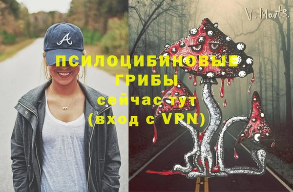 стаф Корсаков